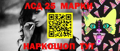 СК Бийск