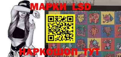 СК Бийск
