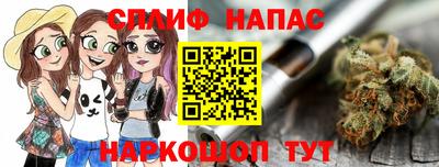 СК Бийск