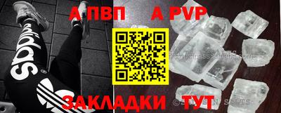 СК Бийск