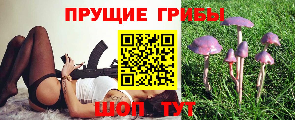 Псилоцибиновые грибы MAGIC MUSHROOMS  Вход с VPN  Киселёвск  Галлюциногенные грибы мухоморы 
