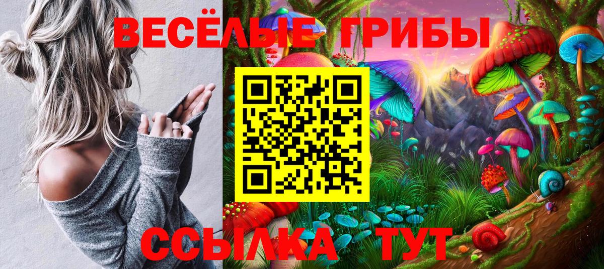 Галлюциногенные грибы мухоморы Киселёвск